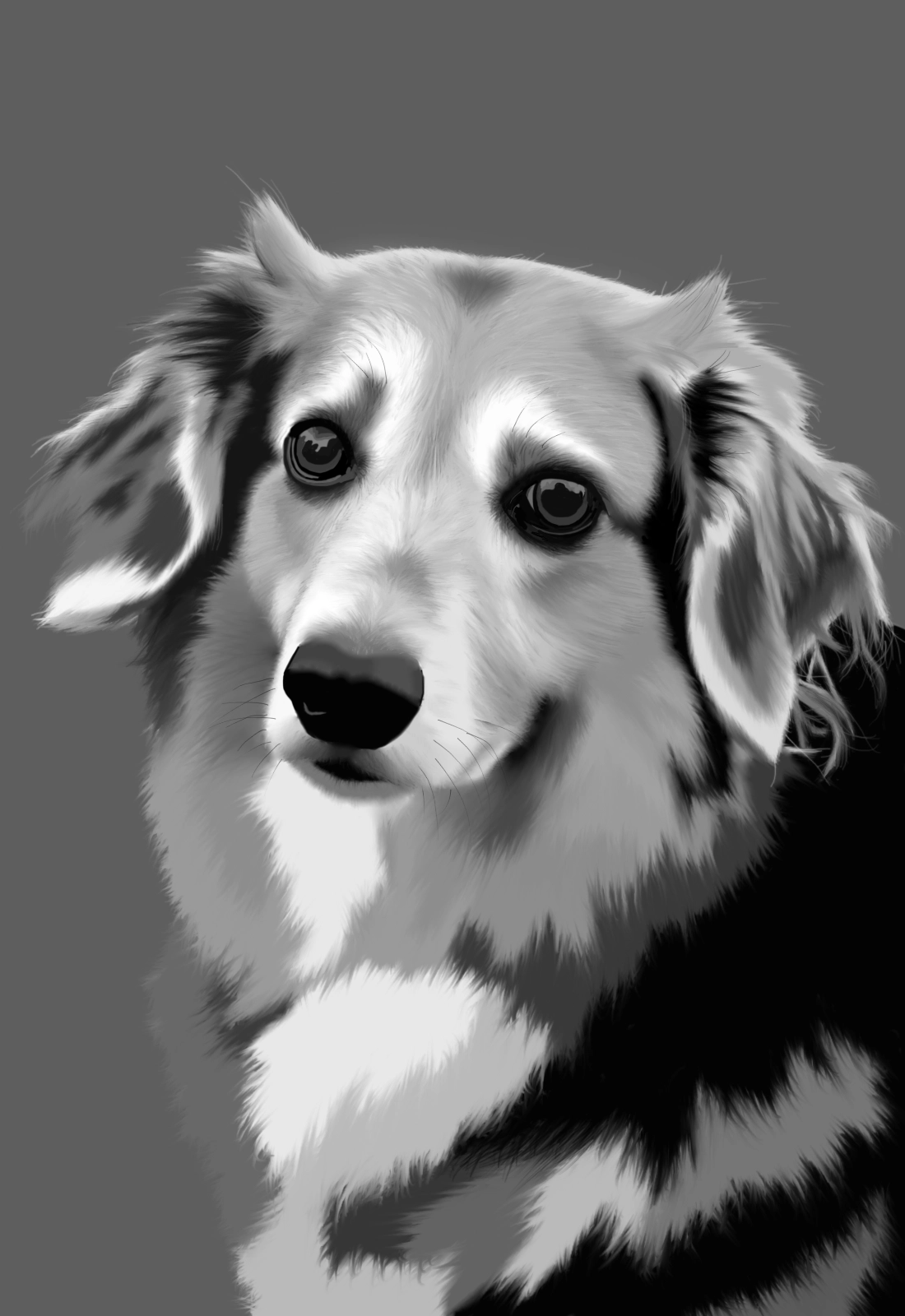 Ellie Portrait Digital Art Project made on Photoshop